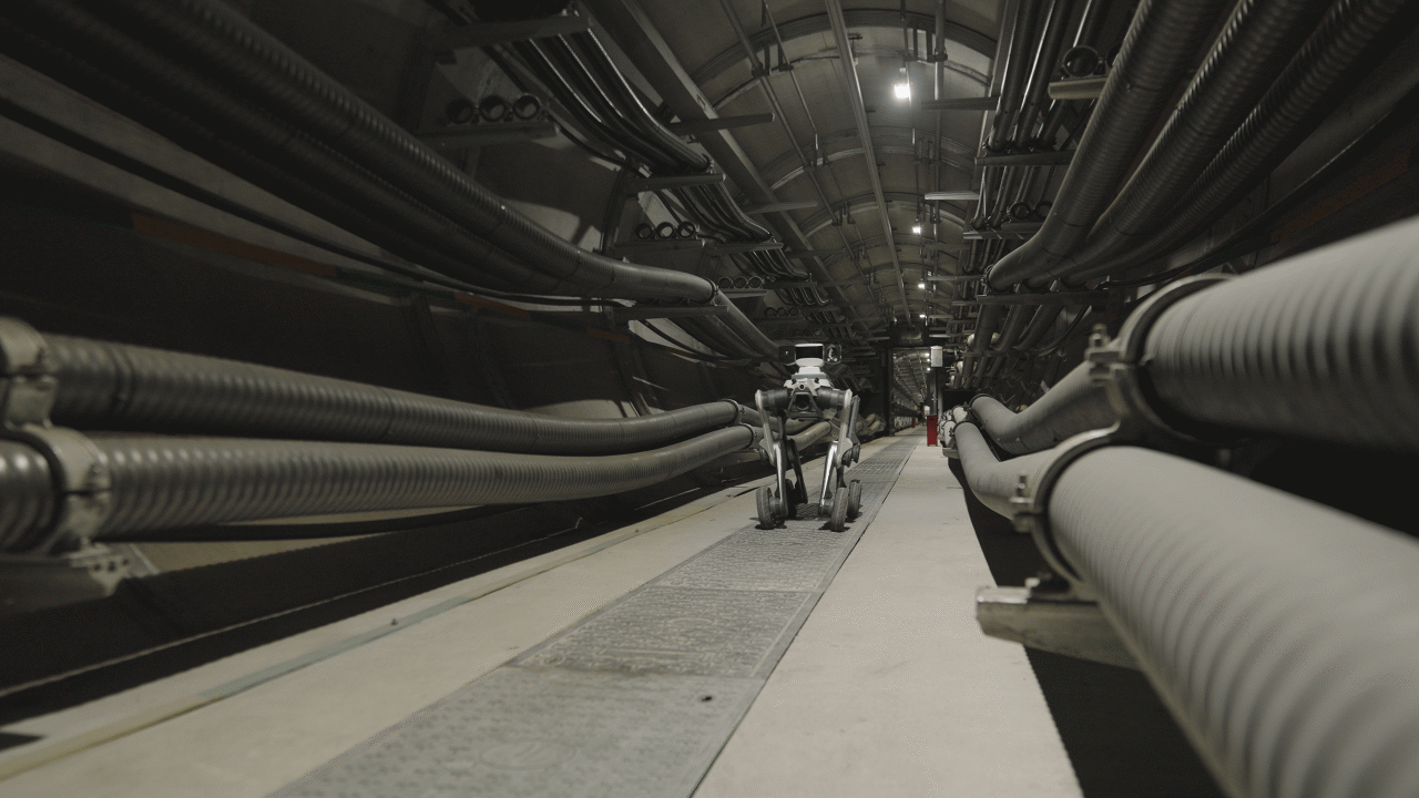 1758100995331496.png 6dd55899488f560bf2d7da5e3b99c3e1.png